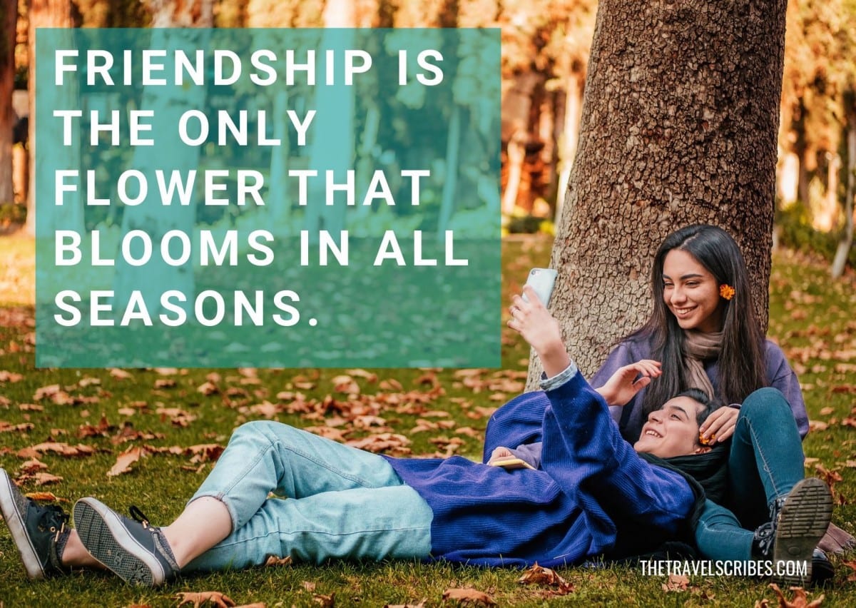 Caption for friends - Friendship is the only flower that blooms in all seasons